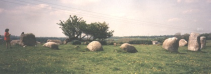 Athgreany Stone Circle with lone whitethorn tree