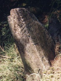 Ogam Stone in Crossoona Rath
